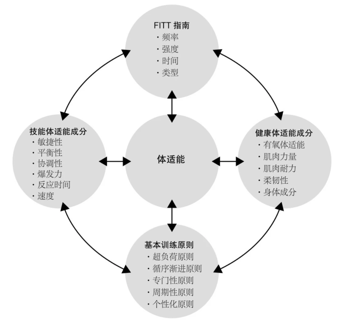如何借助智能健康工具提高篮球技能和表现_2